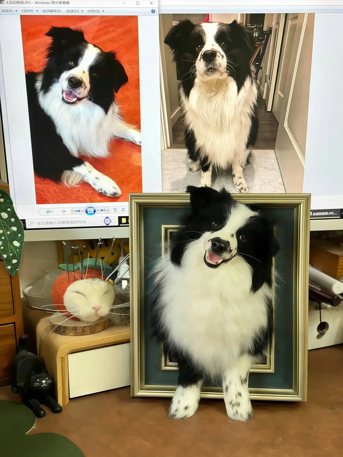 Custom Pet Photo Frames